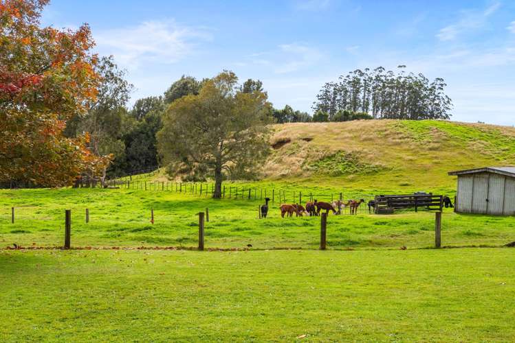 1706 Oropi Road Oropi_28