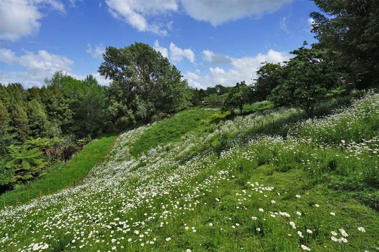 611 Peacockes Road Rukuhia_21