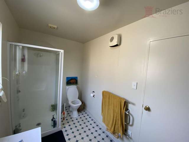 100 Elizabeth Street Riccarton_3