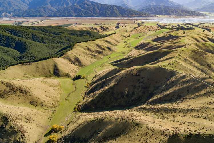 3459 State Highway 63 Wairau Valley_7