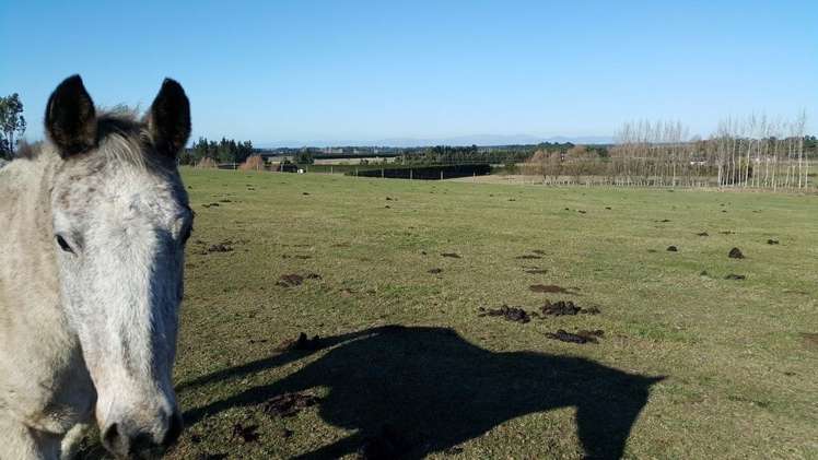 830 Oxford Road Fernside_6