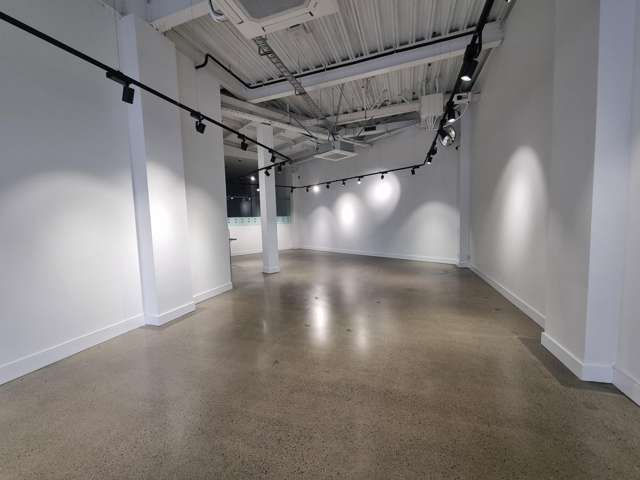 2/115 Victoria Street Te Aro_2