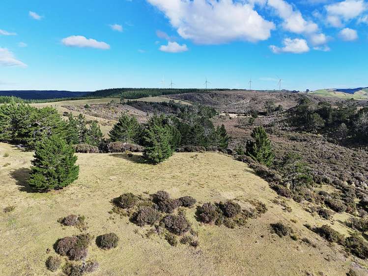 Lot 2 State Highway 12 Dargaville_3