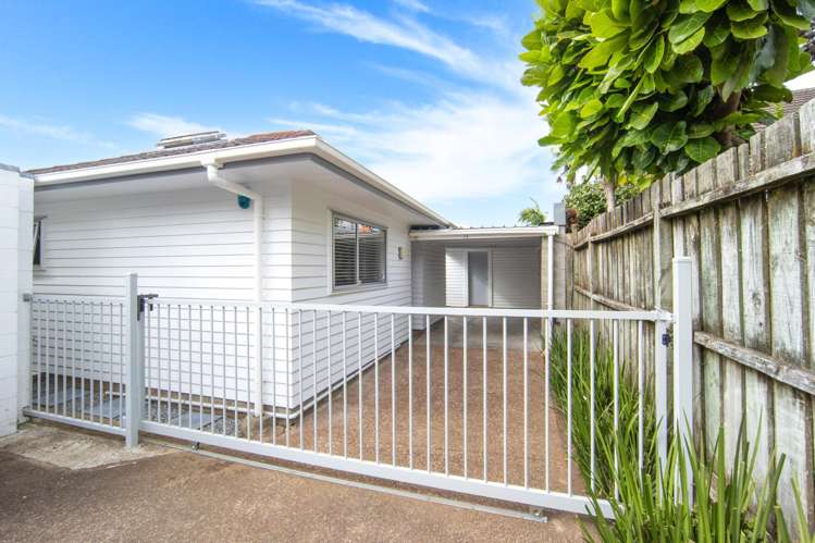 1a Phyllis Street Mount Albert_18