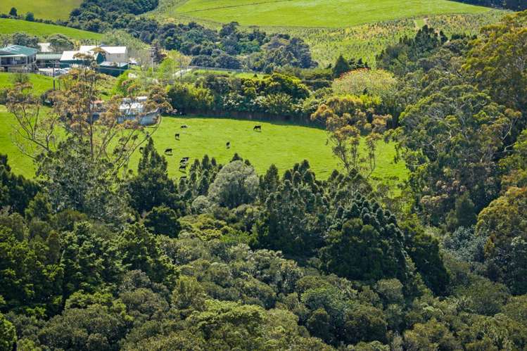 Lot 2/399 Whitmore Road Tawharanui Peninsula_10