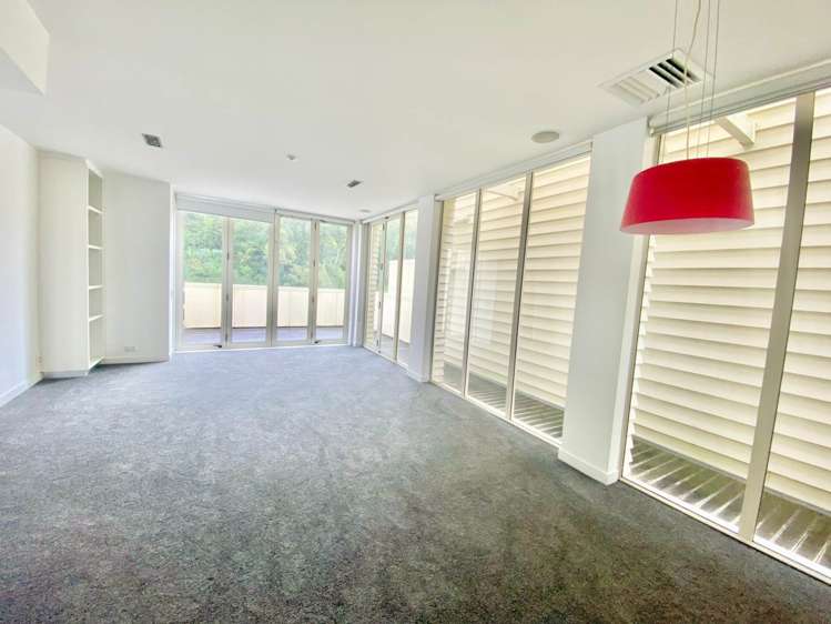 23/27 Birdwood Crescent Parnell_0