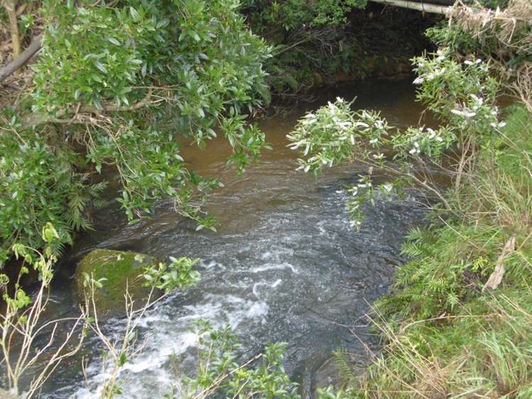 43b Bills Lane Kerikeri_11