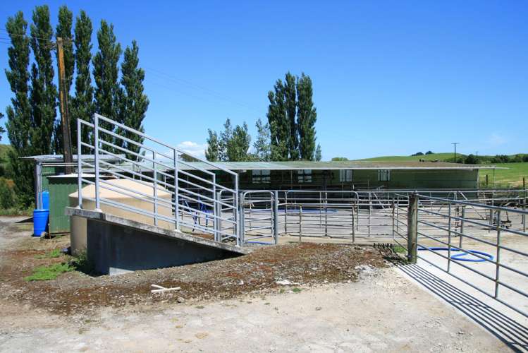 145 Bayly Road Huinga_4