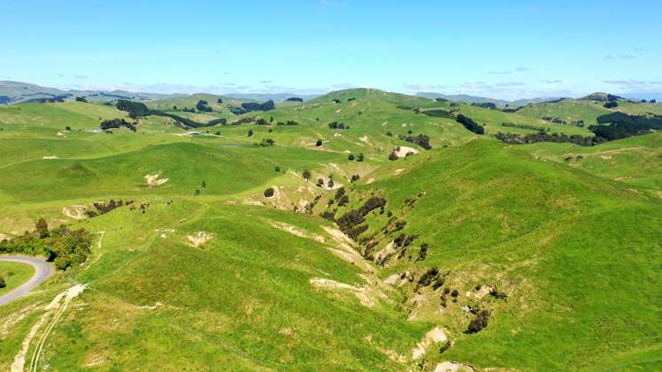 207 Mangatuna Road Weber_6