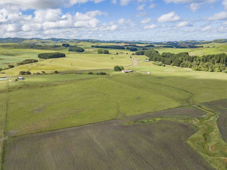 235 Otope Road Dannevirke_4