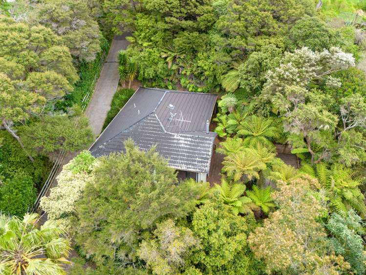 147b Colwill Road Massey_26