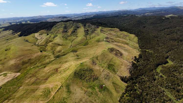 Lot 1 36 Te Moho Road Taipa_8