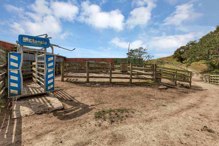 359 Arapohue Road Dargaville Surrounds_17