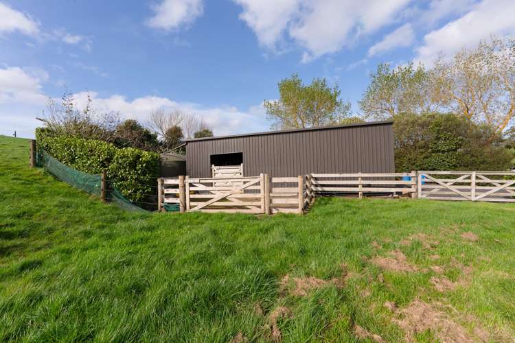 383 Martin Road Te Kauwhata_32