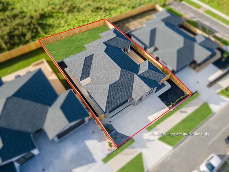 20 Kauri Gum Rise Swanson_25