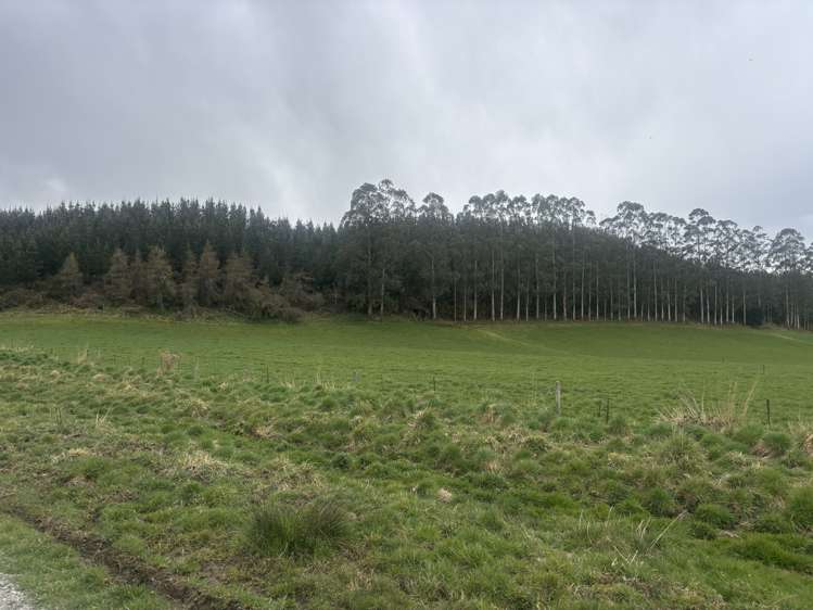 Opihi School Road Pleasant Point_7