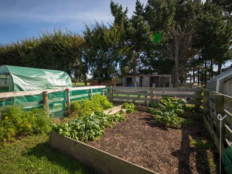 578 Raumai Road Bulls_6