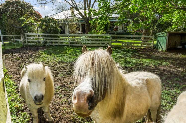 19 Awaroa Landing Road Whangape_5