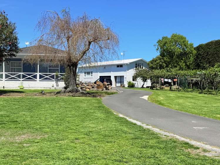 305 No 3 Road Te Puke_5