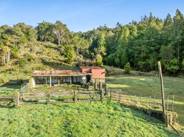 80 Pupu Valley Road, Takaka Golden Bay_4