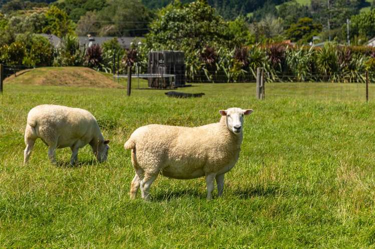 18 Robertson Mill Place Rai Valley_30