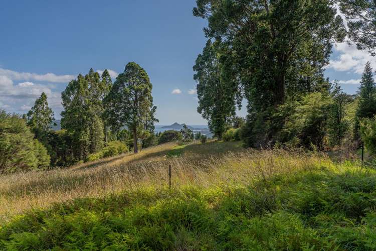 184 Hikuai Settlement Road Hikuai_10