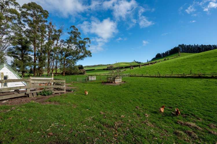 236 Te Kopia Road Waikite Valley_28