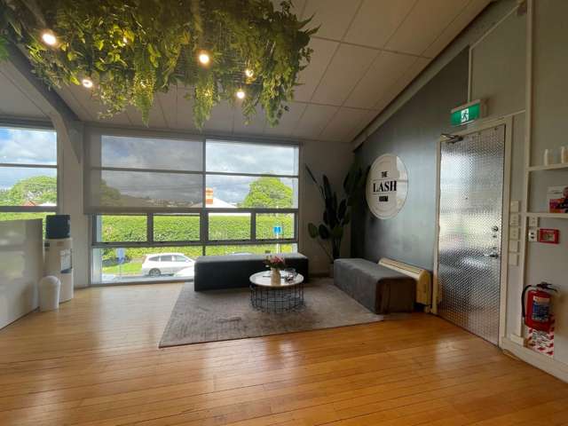 36 Williamson Avenue Grey Lynn_2