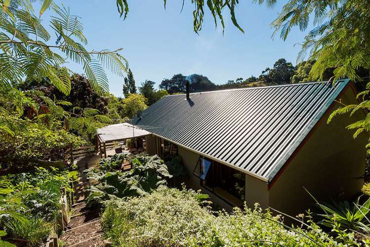 16 Allans Beach Road Portobello_17