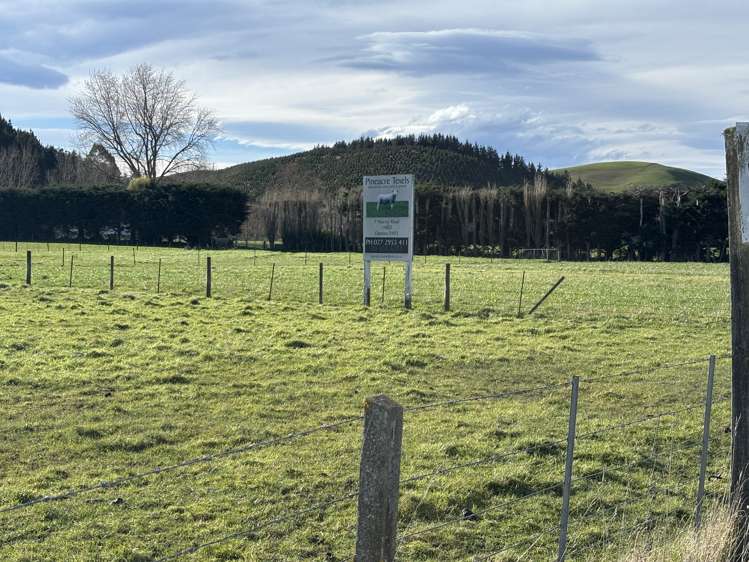 Murray Road_2