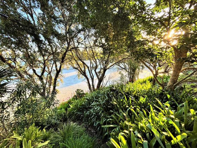 35A Swan Crescent Pakuranga_11