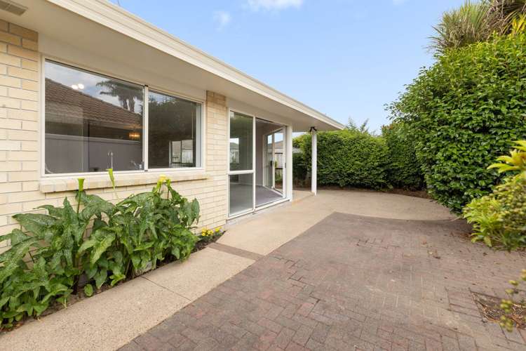 7 Verbena Glen Mount Maunganui_4