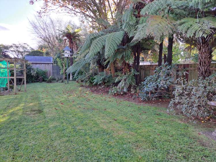 29 Macarthur Street Levin_19