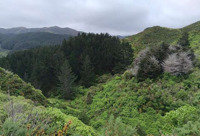 741 Makara Road Makara-ohariu_2