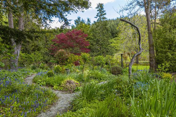 2211 Winchester-Hanging Rock Road Pleasant Point_17