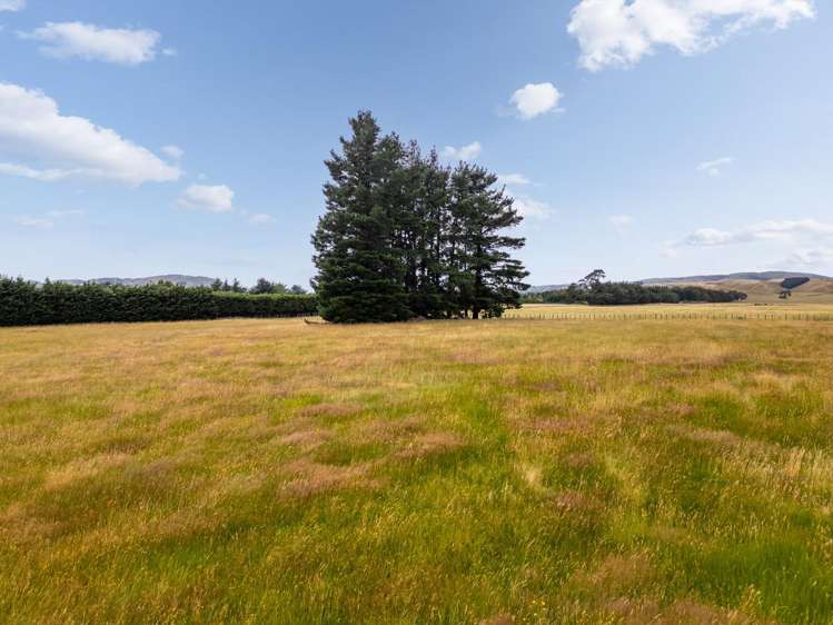 17 Campbell Drive Martinborough_4