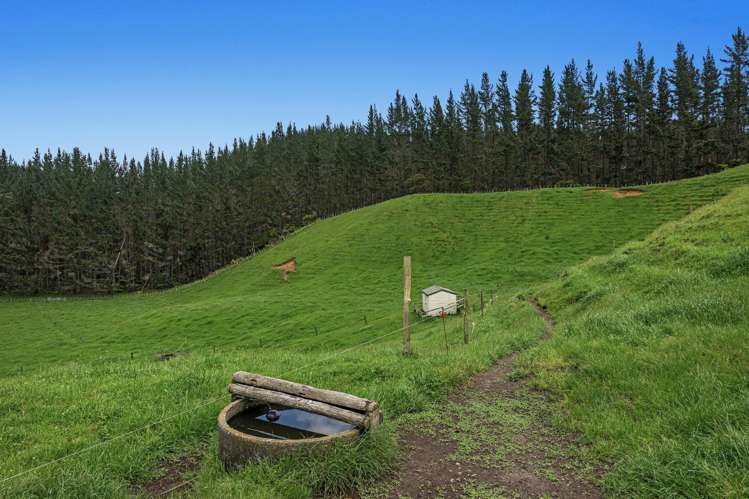 26 Settlement Road Pikowai_17