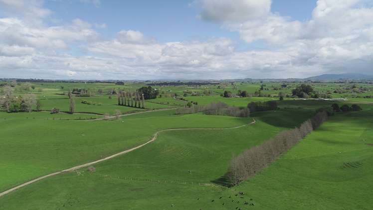 802 Kakahu Road Tapapa_18