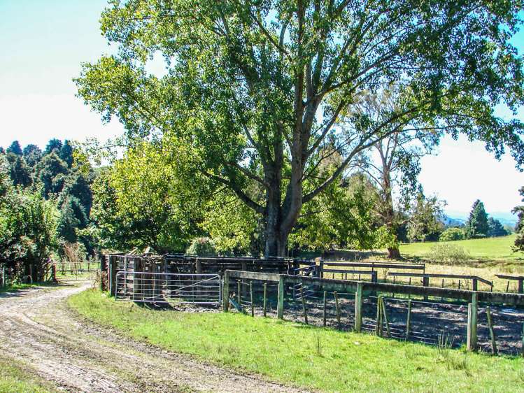 82 Carter Road Taumarunui_7