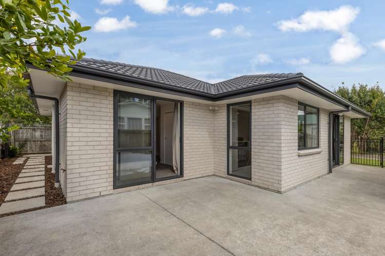 30A Queenwood Road Levin_1