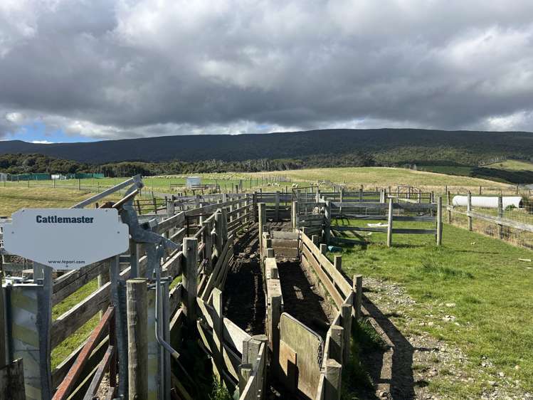 300 Waterhouse Road Orepuki_11