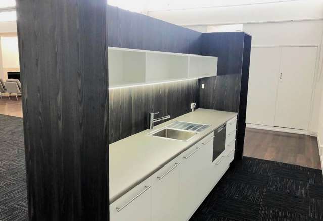 15 Edinburgh Street Newton_4