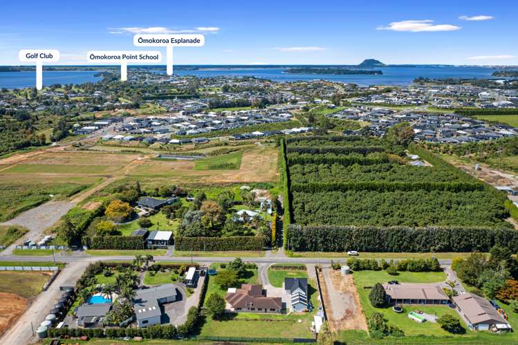 75 Prole Road Omokoroa_19