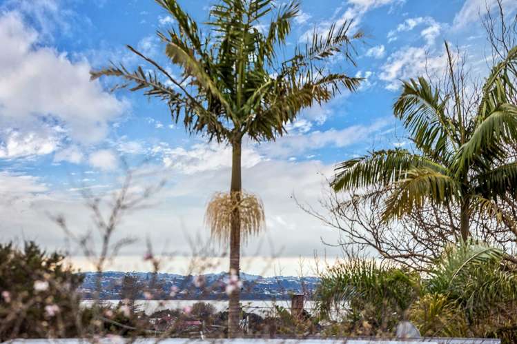 3 Farrar Street Grey Lynn_1