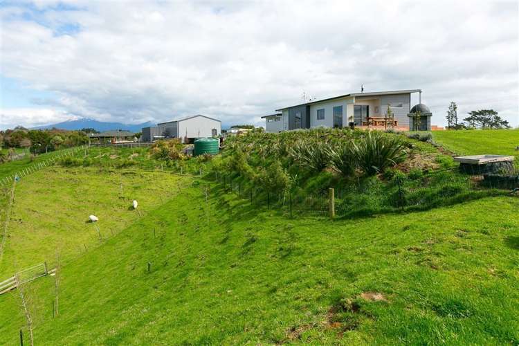 281 Upland Road Tarurutangi_44