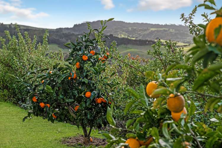 29 Beachwood Drive Hatfields Beach_1