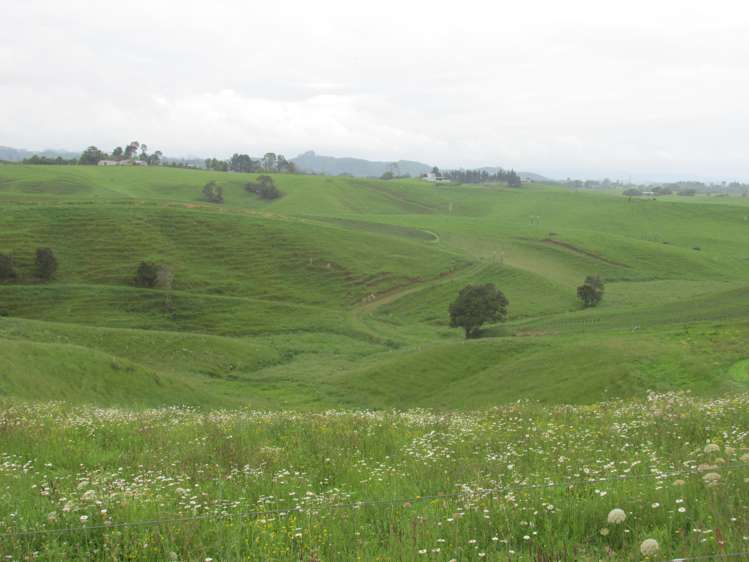 35 Grove Access Road Karamu_9