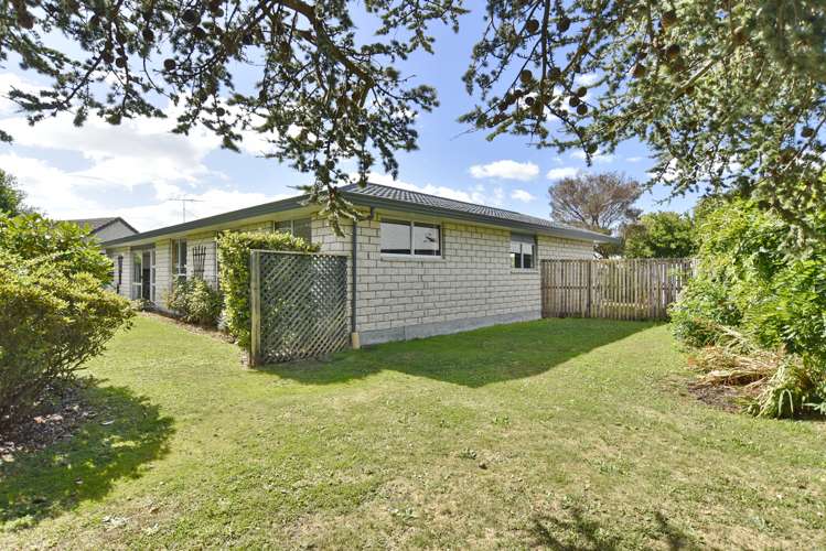 34 Wiremu Street Redwood_18
