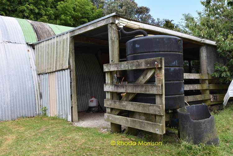 318 Franklin Road Paparoa_38