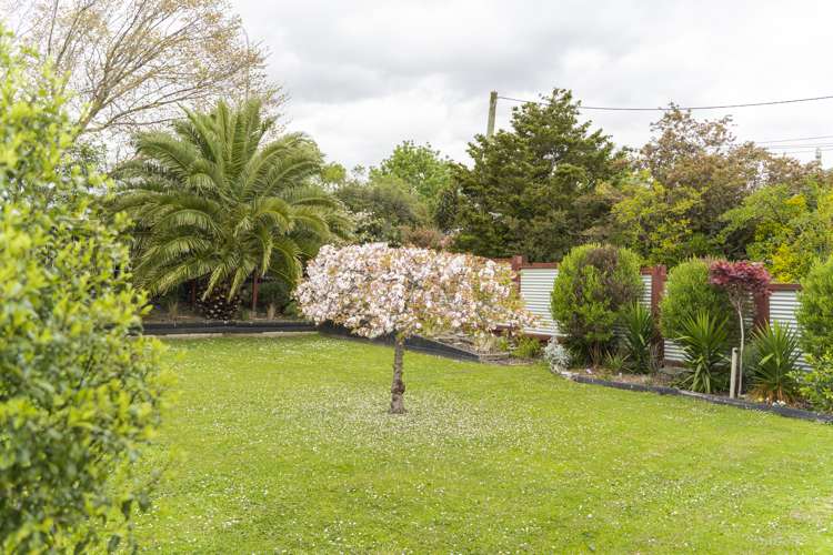 188 Vogel Street Roslyn_14